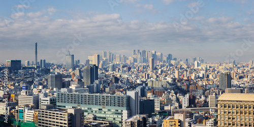 City Skyline, Shinjuku District, Tokyo, Japan