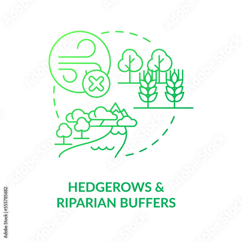Hedgerows and riparian buffers green gradient concept icon. Regenerative agriculture techniques abstract idea thin line illustration. Isolated outline drawing. Myriad Pro-Bold font used photo