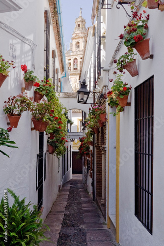 Calleja de las Flores, Cordoba, Andalucia, Spain photo