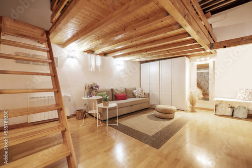 Tableau sur toile house with a mezzanine with a solid pine wood structure, beams and stairs and a