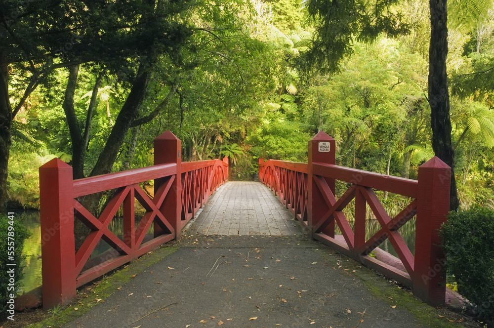 Bridge, Pukekura Park, New Plymouth, North Island, New Zealand Bridge, Pukekura Park, New Plymouth, North Island, New Zealand