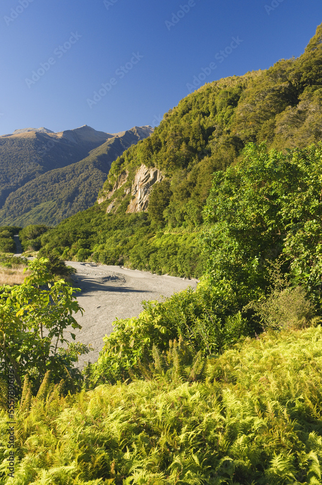 Haast Valley, Westland, South Island, New Zealand Haast Valley, Westland, South Island, New Zealand
