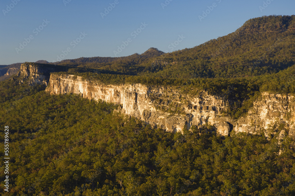 Carnarvon Gorge, Carnarvon National Park, Queensland, Australia Carnarvon Gorge, Carnarvon National Park, Queensland, Australia