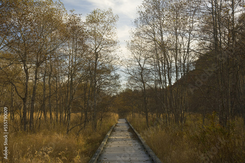 Boardwalk through Marsh, Kushiro Shitsugen National Park, Hokkaido, Japan photo