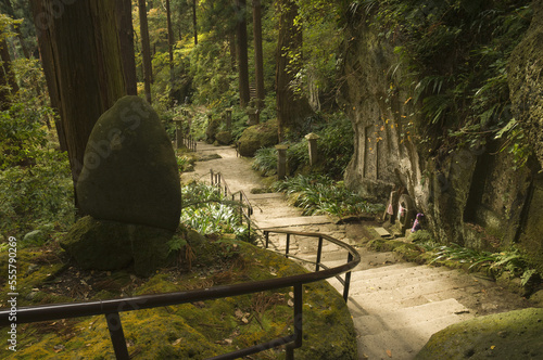 Steps in Forest, Honshu, Japan photo