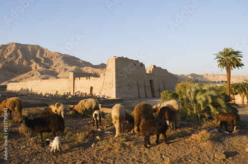 Medinet Habu Temple, West Bank, Luxor, Egypt