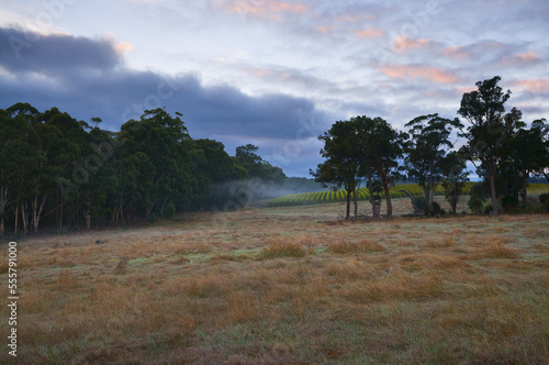 Farmland, Nannup, Western Australia, Australia photo