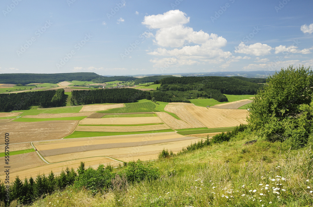 Baar and Black Forest View From, Fuerstenberg, Baden-Wurttemberg, Germany Baar and Black Forest View From, Fuerstenberg, Baden-Wurttemberg, Germany