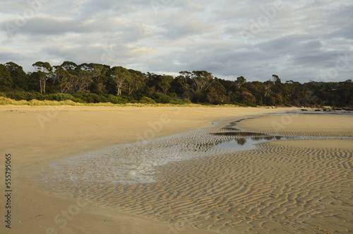 Shore at Anderson Bay, Bridport, Tasmania, Australia photo