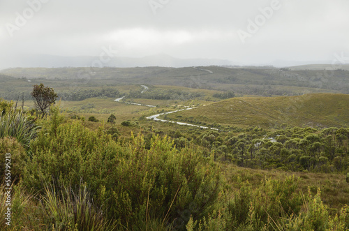 Tarkine, Arthur Pieman Conservation Area, Tasmania, Australia photo