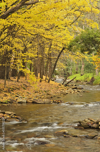 Barwidgee Creek, Myrtleford, Victoria, Australia photo