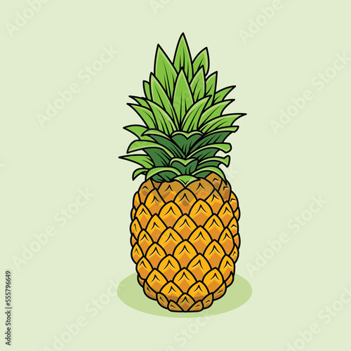 illustration of pineapple