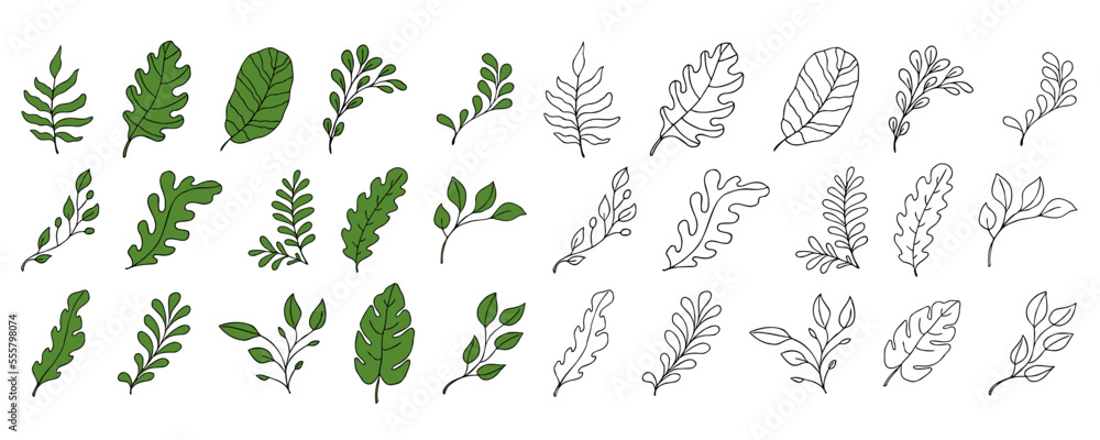 Leaves vector sketch set. Hand drawn decorative elements Leaves vector sketch set. Hand drawn decorative elements