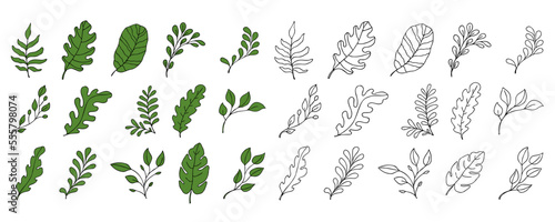 Leaves vector sketch set. Hand drawn decorative elements