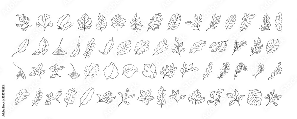 Naklejka premium Leaves vector sketch set. Hand drawn decorative elements