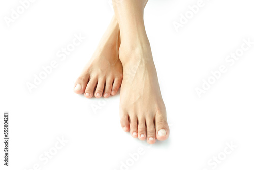 Beautiful female legs and feet on a white background.