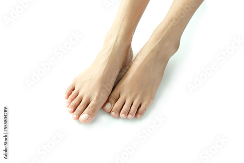 Beautiful female legs and feet on a white background.