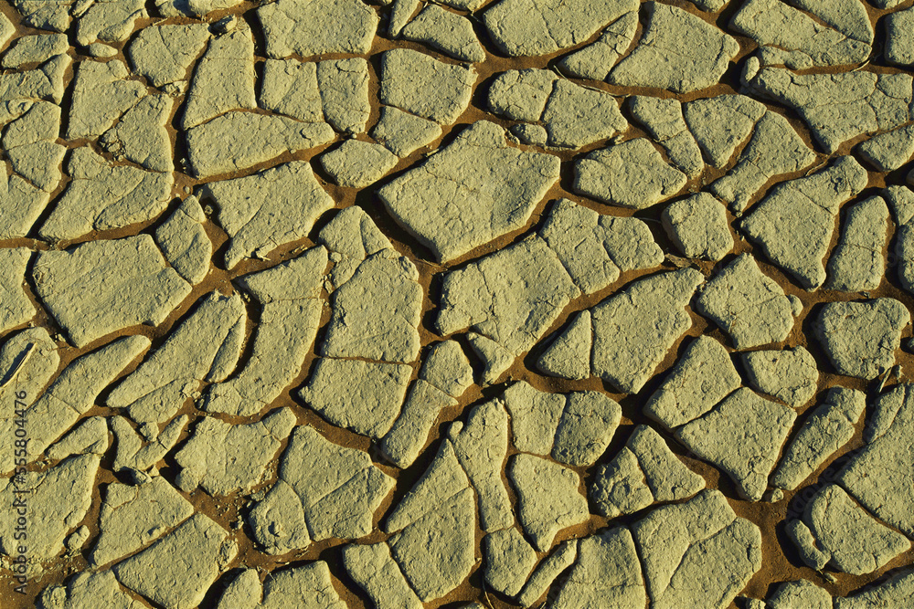 Close Up of Cracked Earth In Desert Close Up of Cracked Earth In Desert