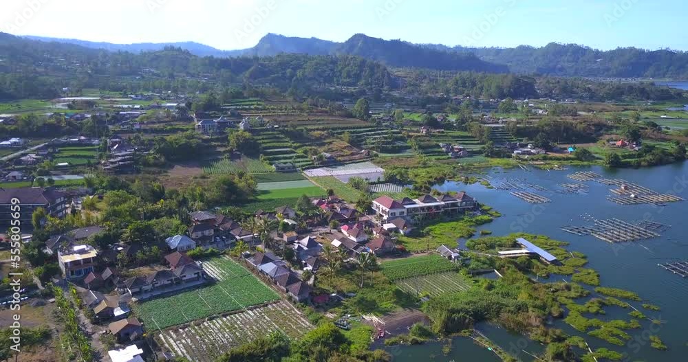 Aerial view at village near fish farming on the lake under Batur volcano ,Bali island,Indonesia
Aerial view at village near fish farming on the lake under Batur volcano ,Bali island,Indonesia