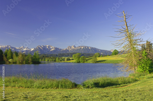 Lake Schwaltenweiher, Bavaria, Germany photo