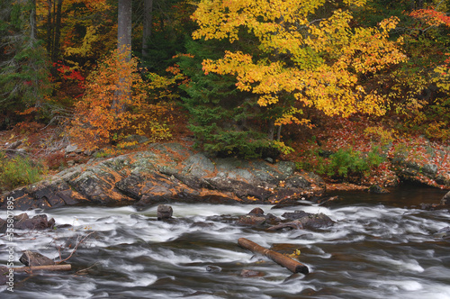 Brook in Autumn, Algonquin Provincial Park, Ontario, Canada photo