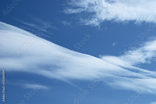Beautiful white cloud in blue sky background of spring cloudscape environment. 