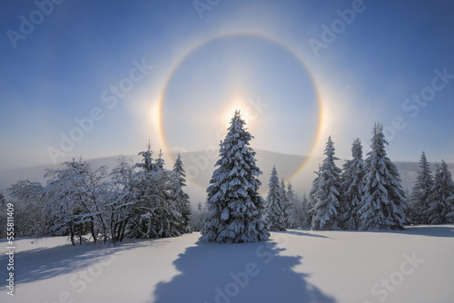 Halo and Snow Covered Trees, Fichtelberg, Ore Mountains, Saxony, Germany
