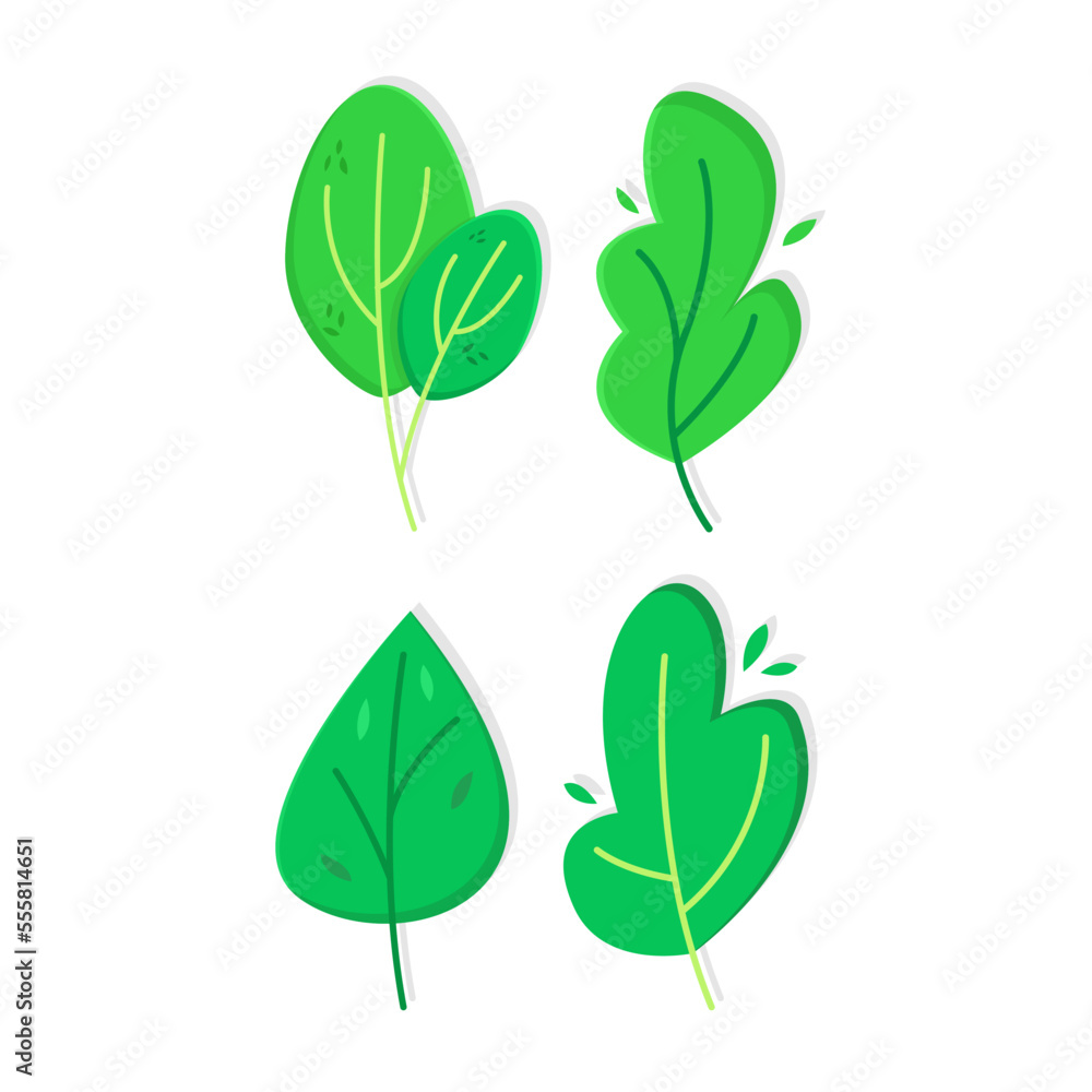 Hand drawn cute minimal leaves illustration, nature decorative elements Hand drawn cute minimal leaves illustration, nature decorative elements