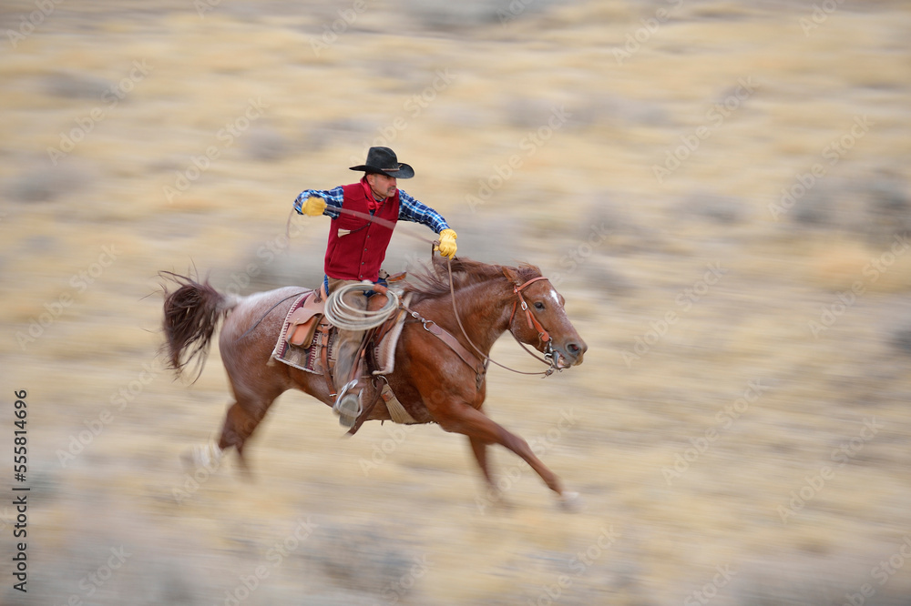 Blurred motion of cowboy on horse galloping in wilderness, Rocky Mountians, Wyoming, USA Blurred motion of cowboy on horse galloping in wilderness, Rocky Mountians, Wyoming, USA