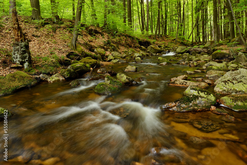 Ilse, Ilse Valley. Heinrich Heine Trail, Ilsenburg, Harz National Park, Harz, Saxony-Anhalt, Germany photo