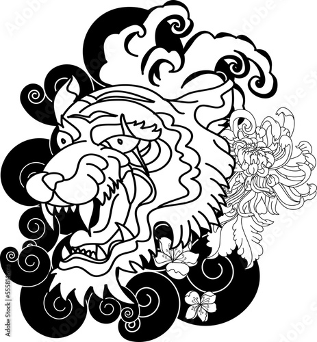 colorful traditional tattoo style Tiger face with cherry blossom and hibiscus flower on could and red rising sun background.Chinese Tiger roaring tattoo.