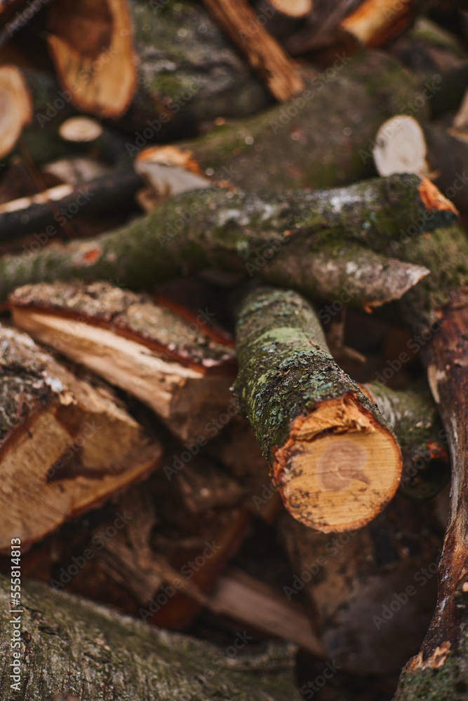 chopped firewood. A pile of logs. Trees has been cut and split into firewood to be used as fuel for heating in fireplaces and furnaces chopped firewood. A pile of logs. Trees has been cut and split into firewood to be used as fuel for heating in fireplaces and furnaces