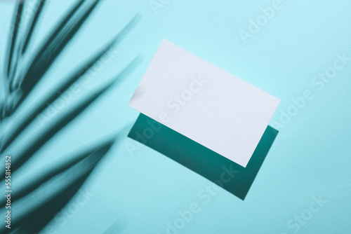 White Blank business card for corporate identity with palm leaf shadow on blue background. Creative mockup.