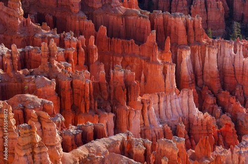 Hoodoos of the Claron Formation at sunrise in Bryce Canyon National Park, Utah, USA photo