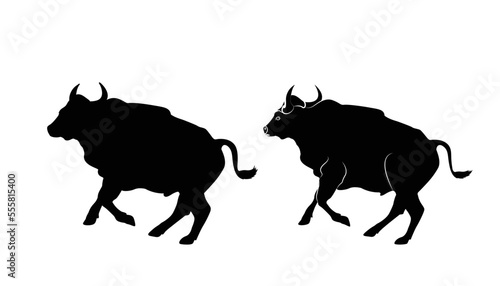 Bull running animal design isolated. high quality bull detailed animal silhouette