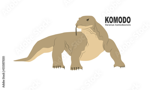 Komodo dragon drawing, vector eps 10, vector clipart © Aku