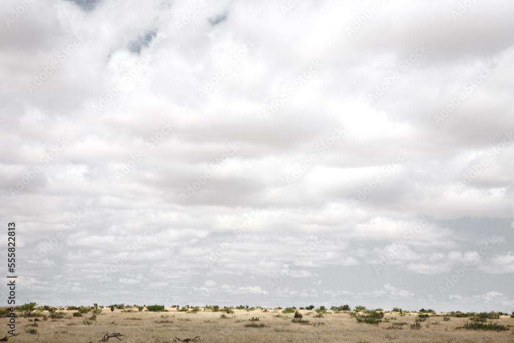 Marfa, Presidio County, Texas, USA Marfa, Presidio County, Texas, USA