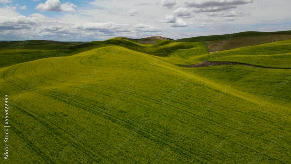 Idyllic, bright green rolling hills of Walla Walla, Washington Idyllic, bright green rolling hills of Walla Walla, Washington