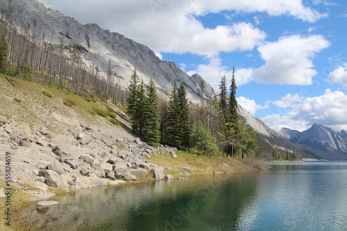 Trees Along The Lake, Jasper National Park, Alberta