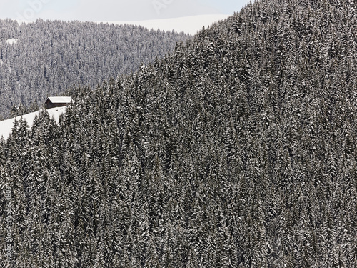 Hut in Snowy Forest near Megeve, French Alps, France photo