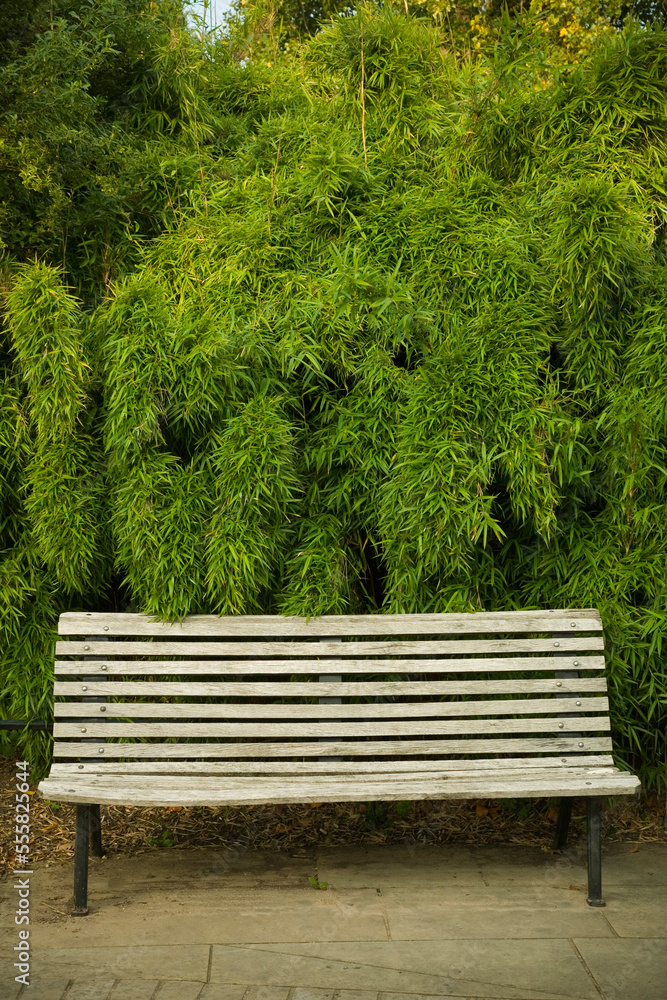 Empty Park Bench, Regent's Park, London, England Empty Park Bench, Regent's Park, London, England