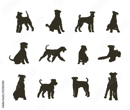 Airedale terrier dog silhouettes, Airedale terrier dog silhouette set