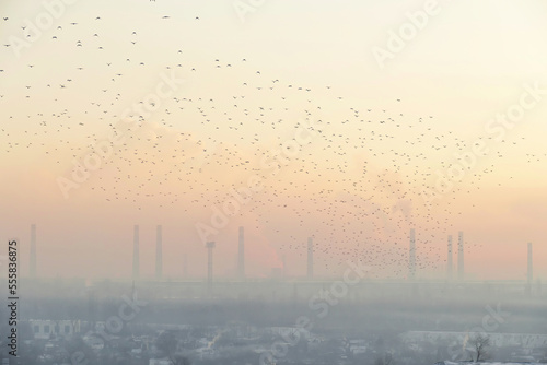Sunset in the city. Global warming background. A large flock of birds flies over the smoking chimneys. Epic industrial landscape.