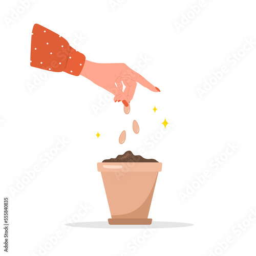 Female gardener hands plants spring seedlings in pot. Vector illustration in flat cartoon style. Organic greens concept. Gardening hobby. Horticulture concept.