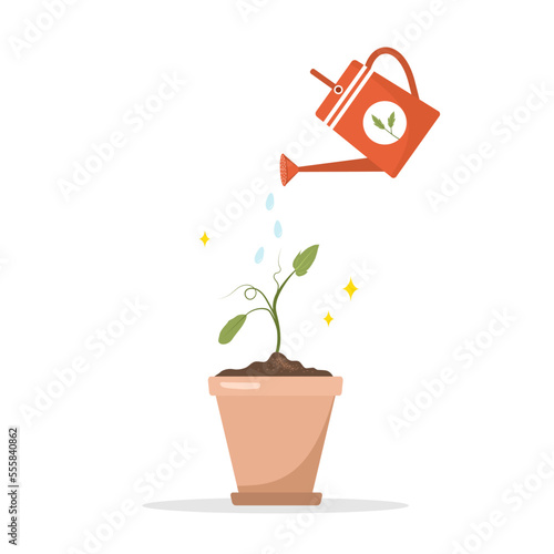 Watering seedlings from watering can. Organic greens. Home care of plants. Gardening hobby. Horticulture concept. Vector illustration in flat cartoon style.