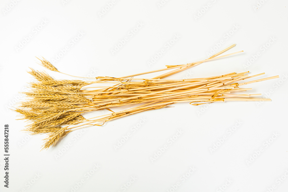 Obraz premium Ripe wheat ears isolated on white background. Top view, flat lay