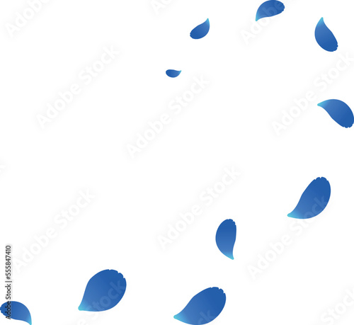 舞うバラの花びら　ブルー