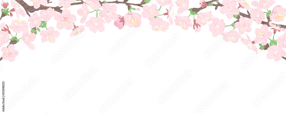 桜の花のトンネルの横長バナー、ヘッダーデザイン テクスチャー入り 桜の花のトンネルの横長バナー、ヘッダーデザイン テクスチャー入り