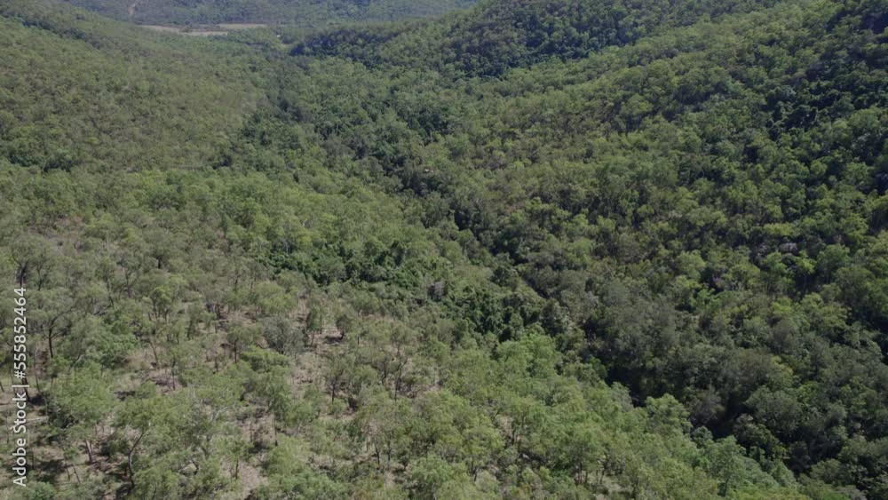 Lush Rainforest At Paluma Range National Park Between Ingham And Townsville, In North Queensland, Australia. - aerial Lush Rainforest At Paluma Range National Park Between Ingham And Townsville, In North Queensland, Australia. - aerial