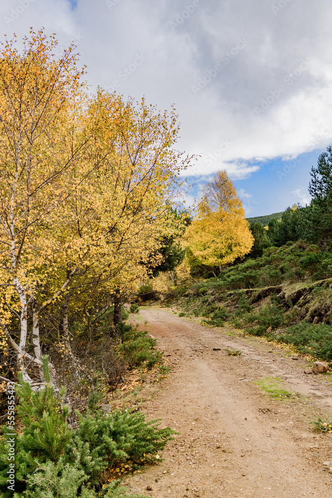 autumn mountain trail